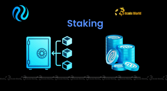 INJ Staked ETF: Canary Capital's Groundbreaking SEC Filing Unlocks New Investment Opportunity