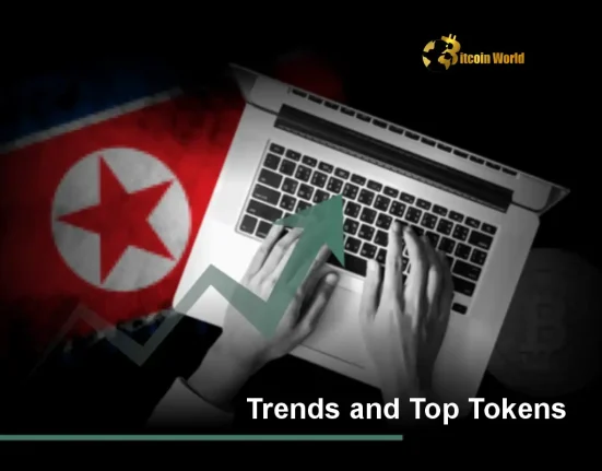 Korean Crypto Community Essential Trends and Top Tokens Unveiled