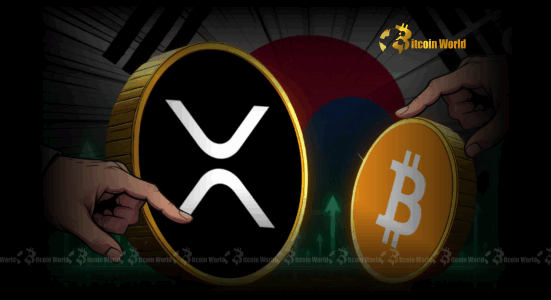 Korean Crypto Trends: Unveiling the Dominant Surge in XRP and Bitcoin