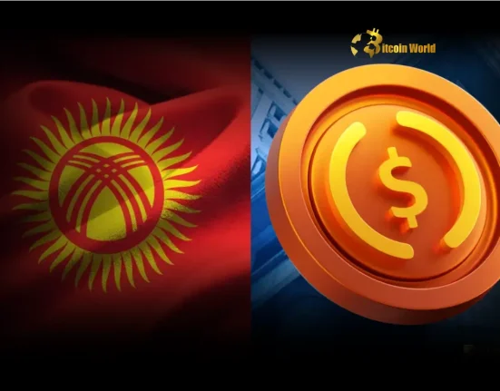 Kyrgyzstan Stablecoin Launch A Golden Opportunity in Q3