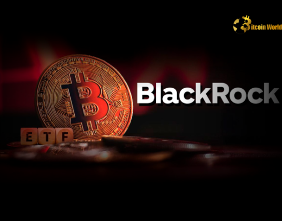 Landmark Move: BlackRock Adds IBIT Bitcoin ETF to Model Portfolio &ndash; A Strategic Shift?