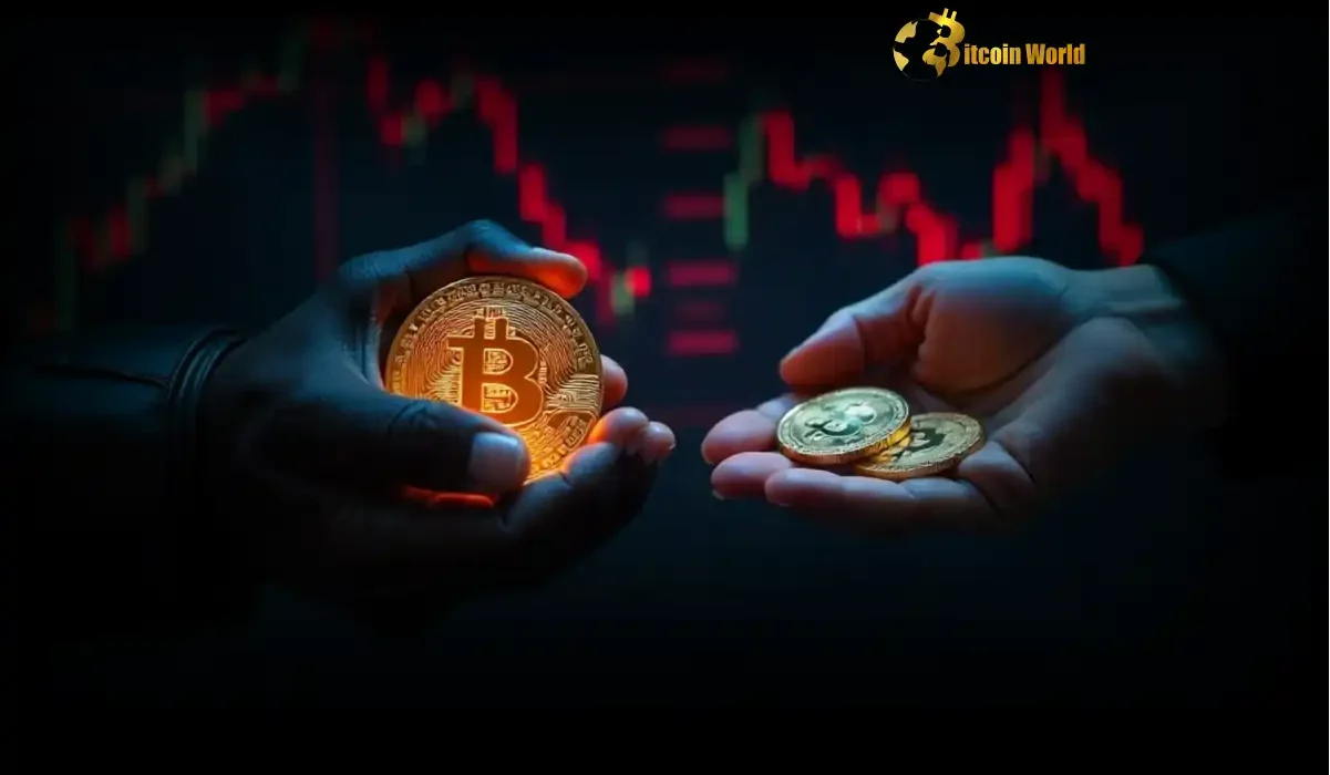 Long-Term Bitcoin Holders Reveal Strategic Accumulation Amid Market Shifts