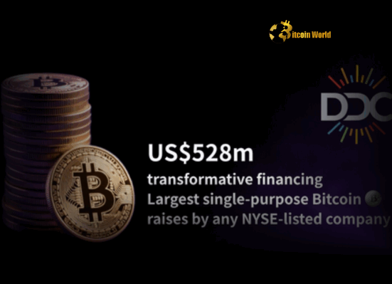 Massive $528M Boost: DDC Enterprise Expands Bitcoin Treasury