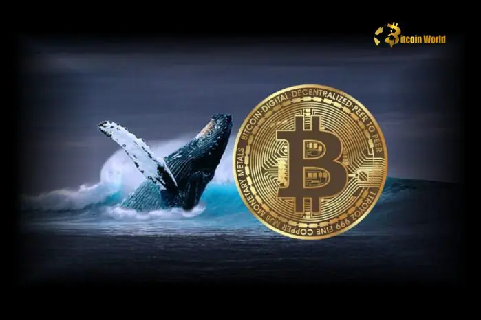 Massive Bitcoin Whale Alert: 2,540 BTC Mysteriously Transferred from Coinbase Institutional