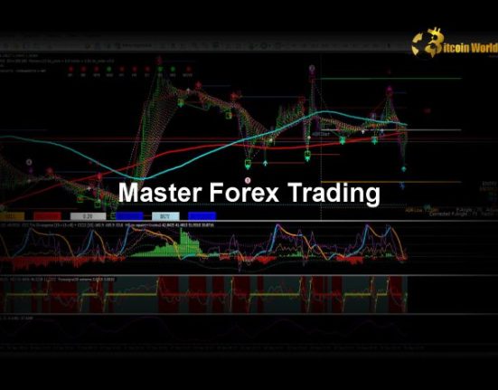 Master Forex Risk Management: Tools and Strategies for Success