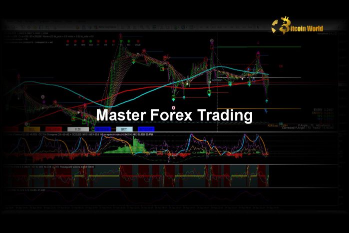 Master Forex Risk Management: Tools and Strategies for Success