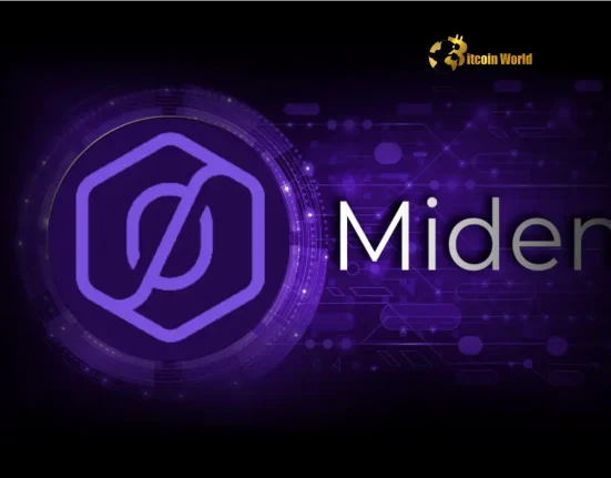 Miden Secures $25M Crypto Funding: A Breakthrough for Privacy Blockchain and ZK Rollup