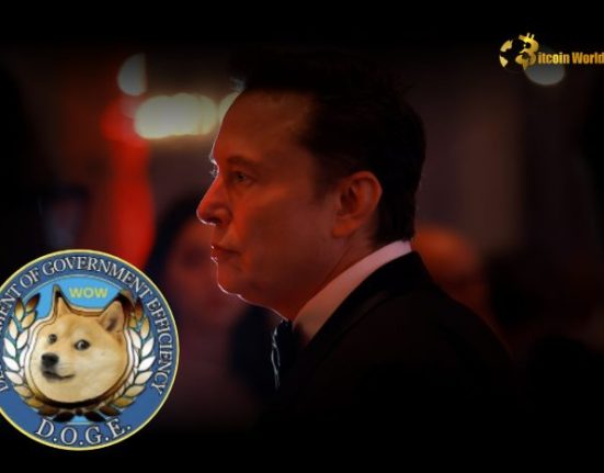 Ministry of Government Efficiency Seeks Blockchain Adoption for Policy Implementation