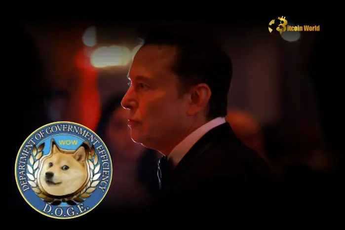 Ministry of Government Efficiency Seeks Blockchain Adoption for Policy Implementation