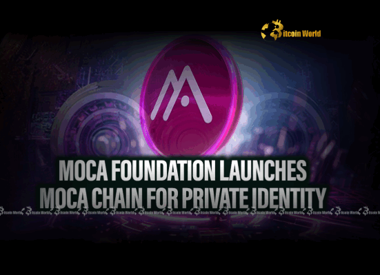 Moca Network: Empowering Users with Revolutionary Decentralized Identity on its New L1