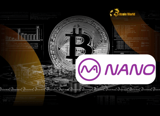 Nano Labs’ Strategic Bitcoin Acquisition Bolstering BTC Holdings to 1,000