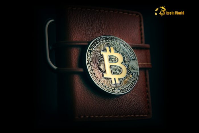 100K BTC exchange wallets highlight crypto centralization