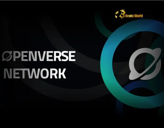 Openverse Network Secures $11M Funding Round for Layer0 Blockchain Ecosystem Breakthrough