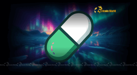 PUMP Token: Unveiling the Surprising Stability and Retail Power Driving Its Market Ascent