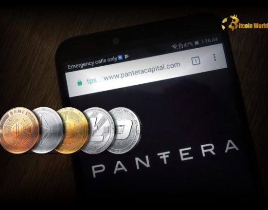 Pantera Capital Executive: Crypto Investing to Become More Fundamentals-Oriented as Market Matures