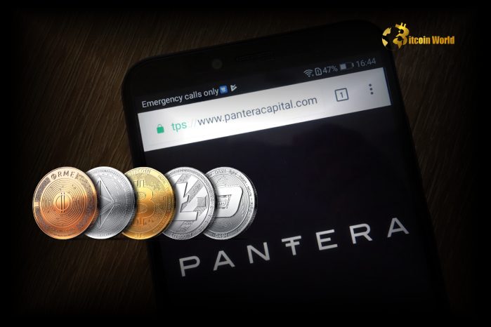 Pantera Capital Executive: Crypto Investing to Become More Fundamentals-Oriented as Market Matures