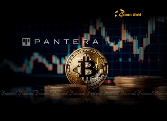 Pantera Capital Unveils a Game-Changing Digital Asset Treasury Fund
