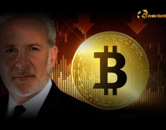 Peter Schiff Calls Bitcoin a Top Threat to the Public