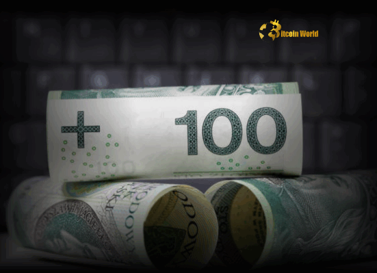 Polish Zloty Forecast UBS Issues Caution Amid Rising Risks