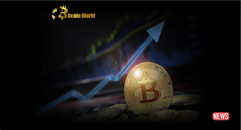 Bitcoin to $200,000? PlanB's Bold Prediction for the 2024 Halving