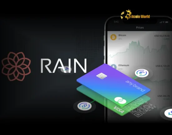Rain Secures $24.5M Funding to Revolutionize Stablecoin Payment Cards: A Boost for Crypto Payments?
