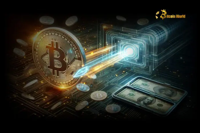 Sanctioned Entities Received a Shocking $15.8B in Crypto Transactions in 2024