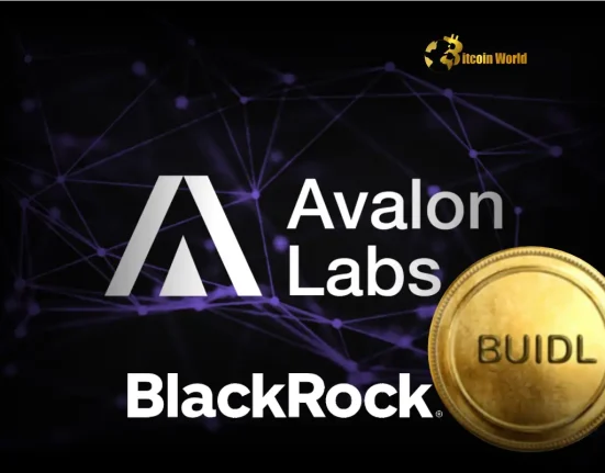 Revolutionary Bitcoin Yield Avalon Labs Integrates BlackRock BUIDL for Enhanced sUSDa Returns