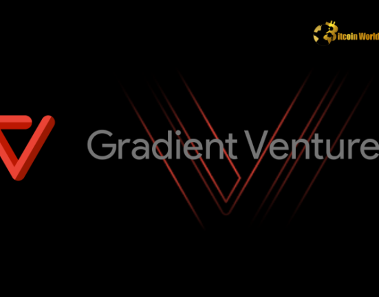 Revolutionizing AI Startups: Eylul Kayin and Gradient Ventures' Bold Vision