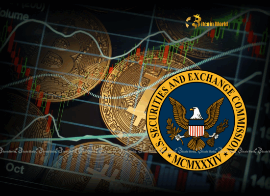 SEC Crypto Rules Unlocking Future Digital Asset Markets with NYSE