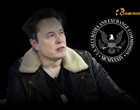 SEC’s Indictment of Elon Musk Deemed Politically Motivated, Allegedly Targets Trump