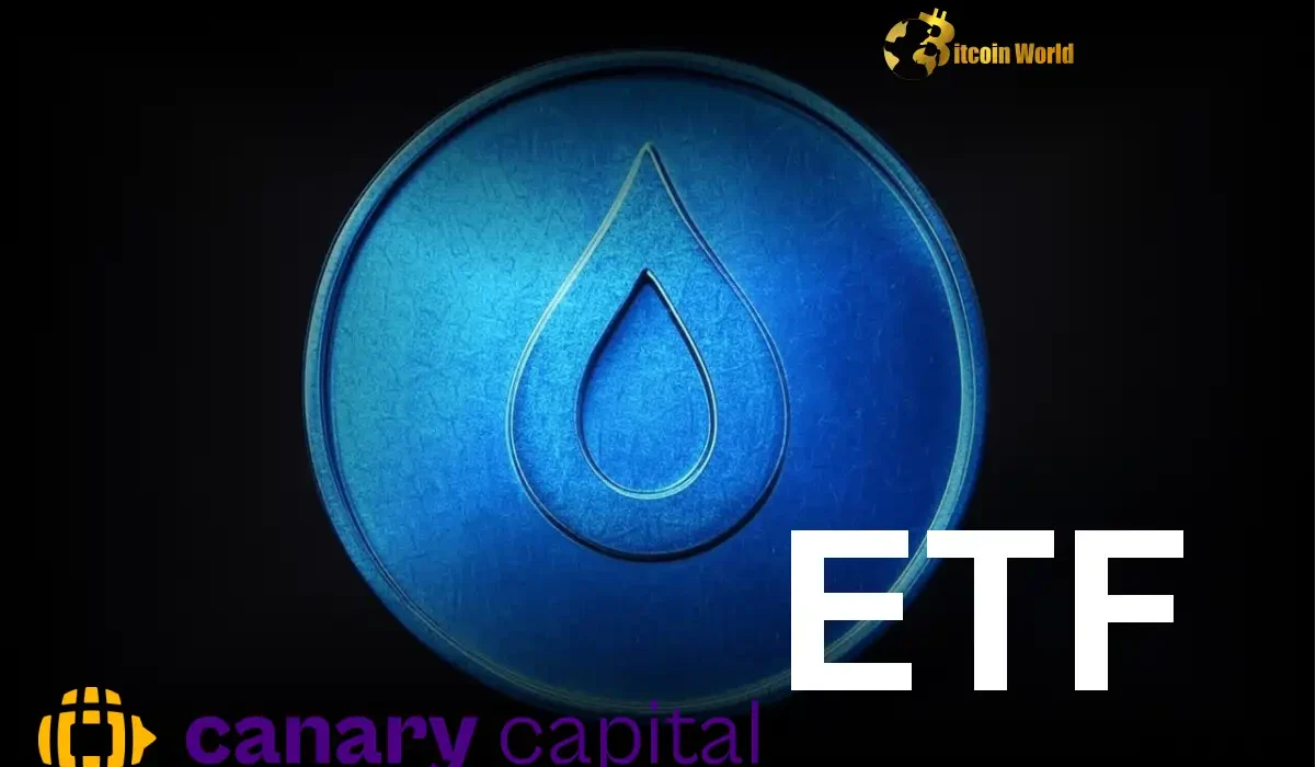 SEI Staking ETF: Canary Capital's Crucial Delaware Registration