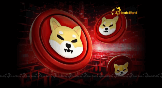 SHIB Payment Unlocking Seamless Crypto Transactions for a $5K Dental Bill with Zypto