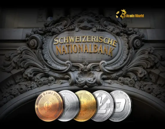 SNB Chairman Issues Stark Warning on Crypto Stability and Liquidity