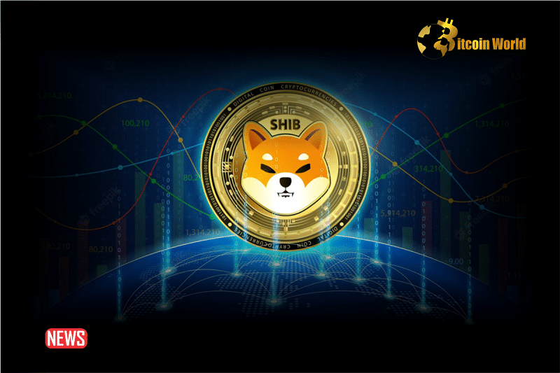 What Next For Shiba Inu (SHIB) Price as Whale Demand Weakens?