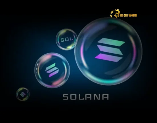 Solana Ecosystem Explosive Growth Fueled by Blockchain Scalability