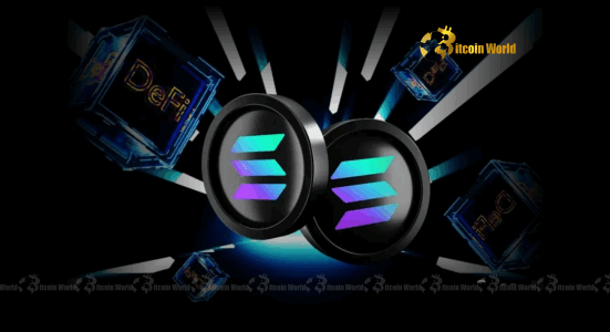 Solana Soars: DeFi Dev Corp. Dominates Public Holdings with Massive SOL Acquisition