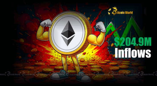 Spot Ethereum ETFs Massive $204.9M Inflows Signal Robust Investor Confidence