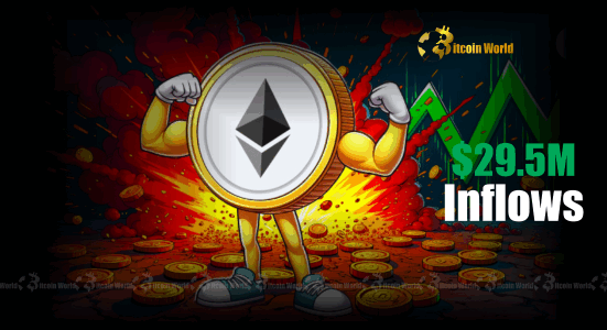 Spot Ethereum ETFs Unprecedented $29.5M Inflow Ignites Market Optimism