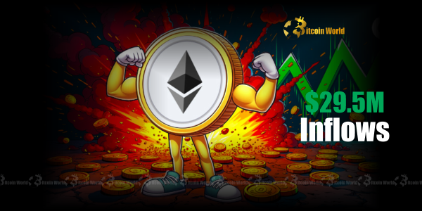Spot Ethereum ETFs Unprecedented $29.5M Inflow Ignites Market Optimism