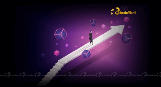 Stablecoin Bridge Breakthrough: Nano Labs and Orbiter Finance Pioneer a Multi-Network Future