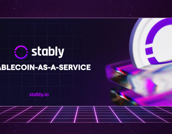 Stably Introduces Stablecoin Development & Advisory Services for Institutions & Enterprises