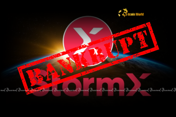 StormX Bankruptcy Urgent Update for Creditors and the Crypto Community