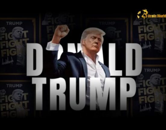 42% of Trump Meme Coin Buyers Are First-Time Crypto Investors