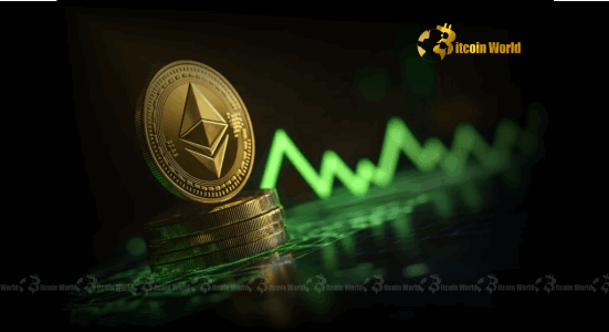 Trend Research’s Strategic $15.71M ETH Deposit to Binance What It Means for Ethereum Price