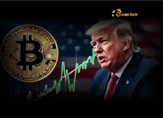 Trump Crypto Plan: Unleashing America's Future in Digital Assets
