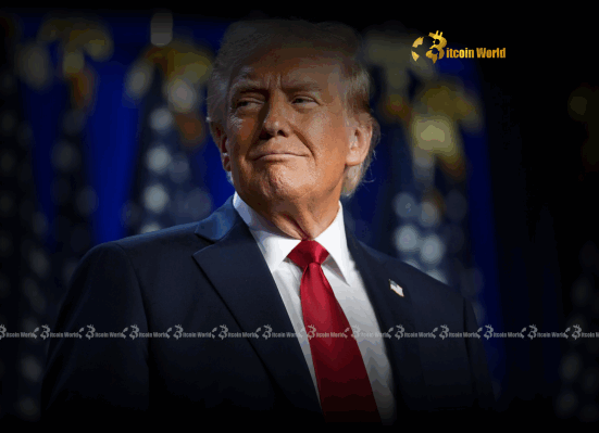 Trump Economic Policy Unleashes Market Uncertainty