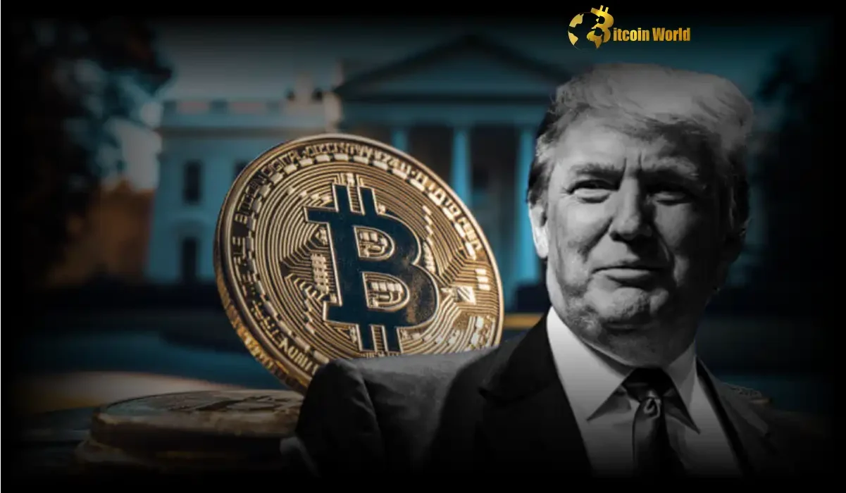 Trump Risks Unleash Crypto Value Surge Expert Bitcoin Analysis