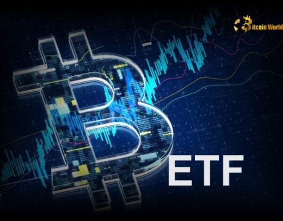 U.S. Spot Bitcoin ETFs Experience Largest Net Outflow Ever on December 19