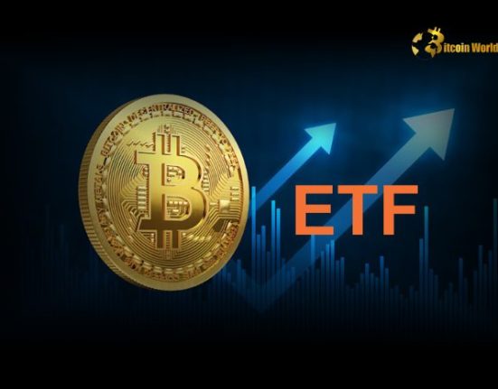 U.S. Spot Bitcoin ETFs See $5.3M Net Inflows on December 31, 2024