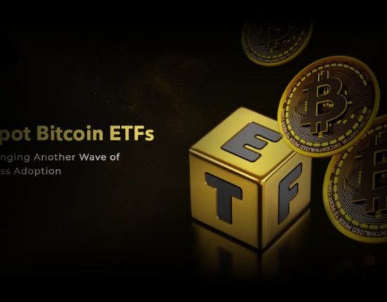 U.S. Spot Bitcoin ETFs See $318.6M in Net Inflows on January 31